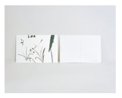 WhiteField Foliage Card