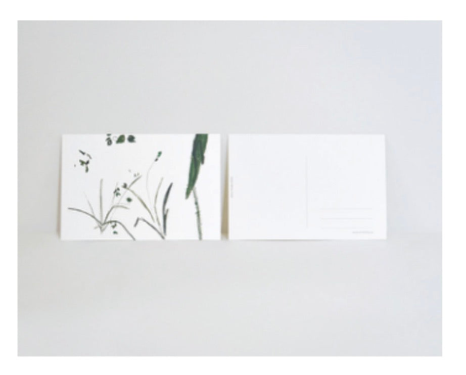 WhiteField Foliage Card