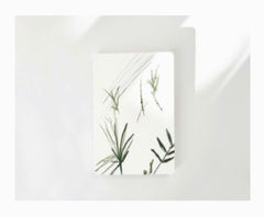 WhiteField Foliage Notebook